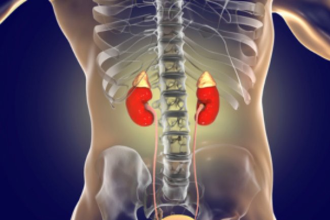 Remedii pentru Oboseala cronică: cum să îți recâștigi vitalitatea și să ai o viață activă?