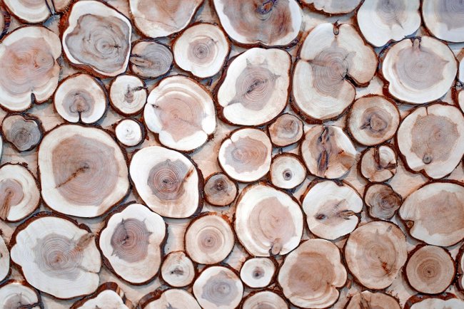 Uleiul esențial de santal - secretul unei relaxări profunde și de durată