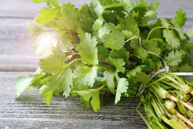 Un remediu natural pentru probleme digestive: Uleiul esențial de coriandru face minuni!