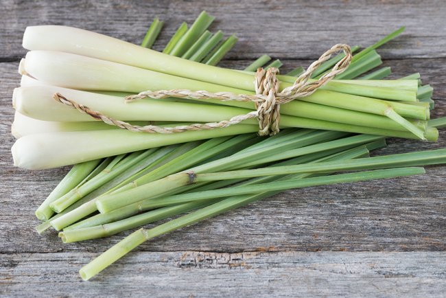 Revigorează-ți simțurile cu uleiul esențial de lemongrass