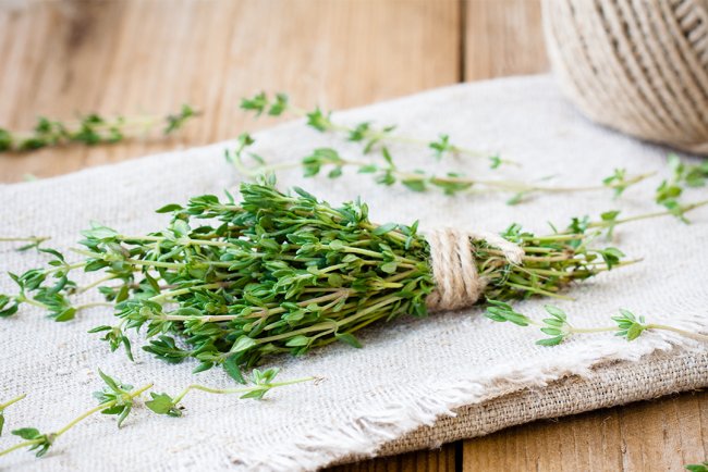 Remediu natural pentru oboseala cronica, Ulei esențial de cimbru | Thymus vulgaris